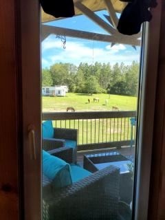 Cozy Barn Stay: A Perfect Retreat for Animal Lovers in Danville, Georgia - - 3