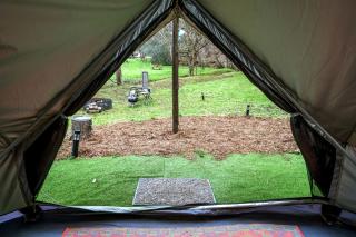 Off-Grid Creekside Tent Ideal for a Glamping Experience in Cosby, Tennessee - Cosby - 5