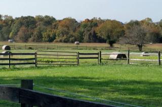 Pleasant Cozy Airstream with Amazing Stargaze and Farm Views in Maryland - Darnestown - 8