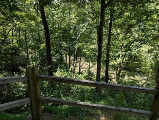 Wooden Cabin with Hot-Tub and Pool Table in Demorest, Georgia - Demorest - 5