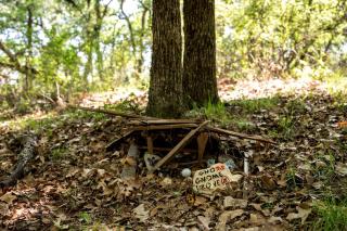 Magical Treehouse with Slide by Brazos River for Family Glamping Adventures in Texas - Buckner - 3