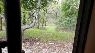 Chic One-Bedroom Suite With Jacuzzi Tub for Romantic Getaway near Columbus, Ohio - Pulaskiville - 4