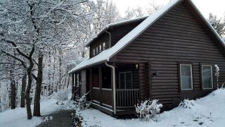 Chic One-Bedroom Suite With Jacuzzi Tub for Romantic Getaway near Columbus, Ohio - Pulaskiville - 3