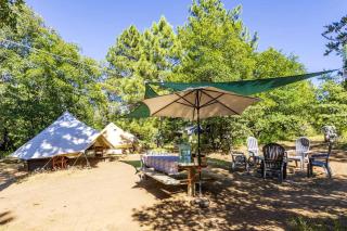 Family Adventure Awaits: Glamping Under the Stars in Mt. Laguna, California - Mount Laguna - 8