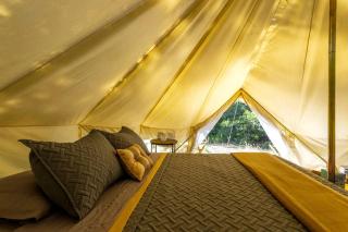 Family Adventure Awaits: Glamping Under the Stars in Mt. Laguna, California - Mount Laguna - 5