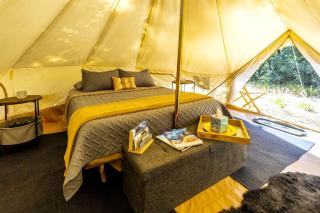 Family Adventure Awaits: Glamping Under the Stars in Mt. Laguna, California - Mount Laguna - 4