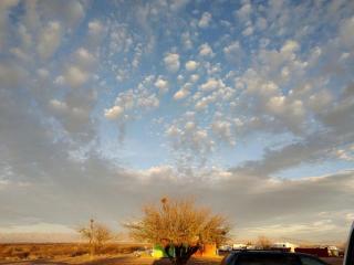 Cozy Tiny House Rental, Arizona for Tucson Glamping - Double Adobe - 7