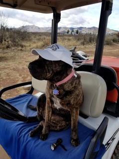 Cozy Tiny House Rental, Arizona for Tucson Glamping - Double Adobe - 5