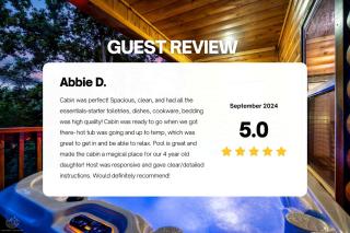 The Lazy Bee Log Cabin Retreat Sevierville, TN - 3