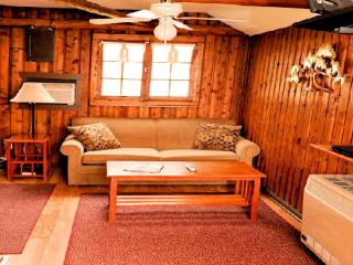 Amazing Cabin Rental for a Peaceful Lake Vacation in Northern Michigan - West Branch - 9