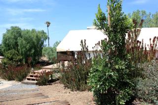 African-Inspired Safari Tent near San Diego for a Glamping Weekend in Vista, California - Vista - 2
