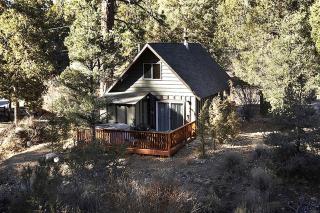 Charming Cabin Rental Nestled in Woods near San Bernardino National Forest in California - Big Bear City - 3