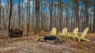 Secluded Cabin with Barbecue in Mentore, Alabama - Mentone - 8