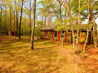 Remote Retreat Set in the Ozark Hills in Dixon, Missouri - Dixon - 8