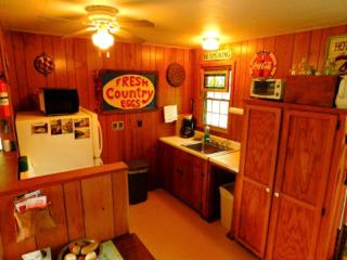 Remote Retreat Set in the Ozark Hills in Dixon, Missouri - Dixon - 5