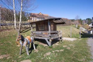 Ferienwohnung Bergahorn - Todtnauberg - 6