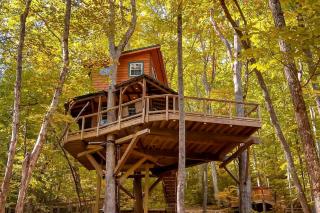 Entire Four Treehouses Resort Perfect for Groups and Outdoor Activities in Copperhill, Tennessee - 8