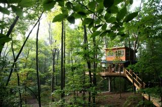 Secluded Treetop Oasis, Original Treehouse in Tennessee - 7