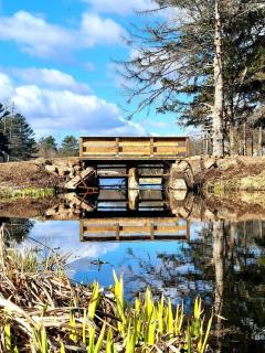 Pure Glamping Dome in Saint Croix Falls, Wisconsin - 2