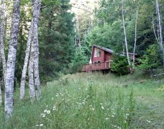 Cozy Forest Cabin for Eight Guests near Olympic National Park in Washington - 1