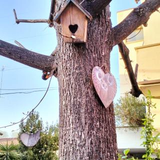 APPARTAMENTO SIGNORINI - bolognaholidayhome - Holiday House Bologna Garden Reserved Parking - Bologne - 7