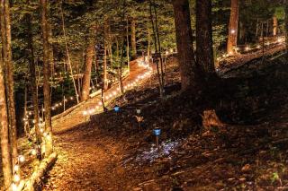 Off-Grid Amazing Safari Tent Ideal to Reconnect with Nature in Tennessee - Pigeon Forge - 1