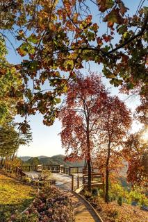 Secluded Luxurious Cabin with Spectacular Living Spaces in Tennessee - Little Cove - 2