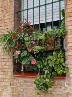 Bright Apartment in Seville with Private Garden - Seville - 3