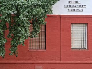 Bright Apartment in Seville with Private Garden - Seville - 4