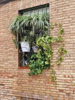 Bright Apartment in Seville with Private Garden - Seville - 1
