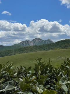 Il Gelso - Trivigno - 6
