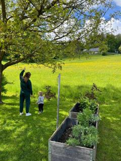 Green Oasis Anica - 9