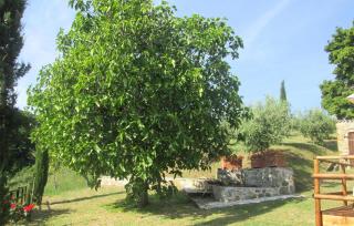 Nice Home In Castelnuovo Val Di Cec - Castelnuovo di Val di Cecina - 3