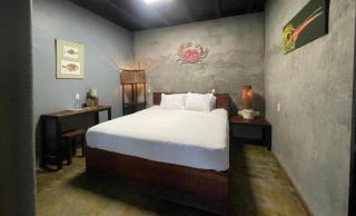 San Carlos Surf Resort & Eco Lodge - San Carlos - 4