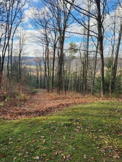 Pine Hill FLX Retreat - Cohocton - 9