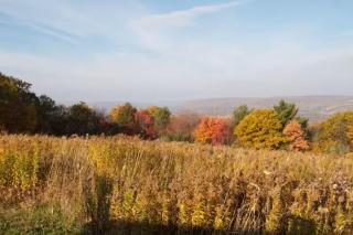 Pine Hill FLX Retreat - Cohocton - 8