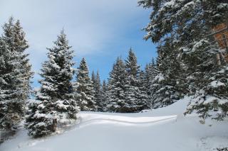 Feriendorf Koralpe Chalet Almrausch - 8