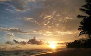 Canela Beach Resort and Villa - Ahangama - 0
