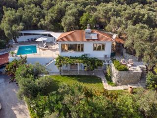 Skiathos Modern Villa with private swimming pool - Città di Skiathos - 8