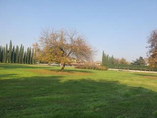 Fontanile Garden Villa - Brugherio - 2