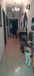 Private room - Qormi - 6