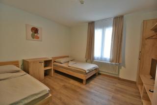 Hotel Waldegg Zuchwil - Zuchwil - 7