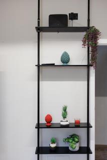 Jungle flat - Florencia - 1