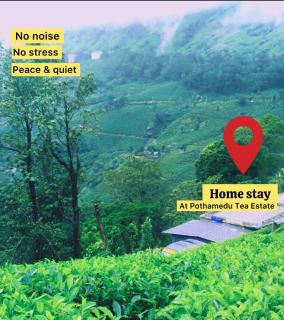 3 Bedroom mountain Cottage pothamedu - hills top, 3 bed room,hall public parking - Munnar - 6