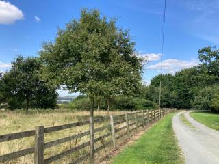 TheGardens, Upper Catesby - Staverton - 2
