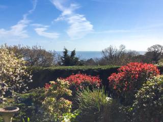 The Lookout - Torquay - 9