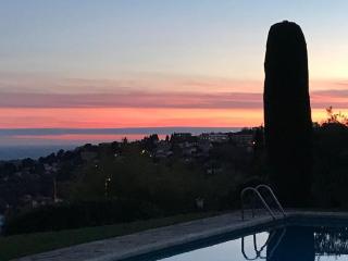 superb Provençal house - Vence - 1