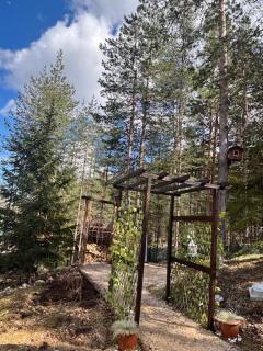 Pine Retreat - Žabljak - 2