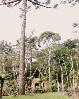 Recanto dos Xaxins - São Francisco de Paula - 7