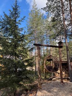 Pine Retreat - Žabljak - 4